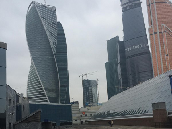 1543370815119137.jpg 1.jpg